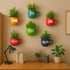 Malkin Life | Wall Planter Set | Personalised Gift | Home Decor